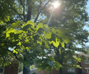 Weekend w Lublinie przyniesie gorący finał. Temperatura mocno poszybuje w górę