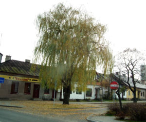 To jedno z najpiękniejszych miast w łódzkim. Kiedyś leżało w województwie mazowieckim