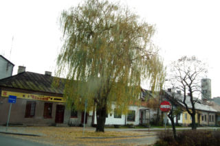 To jedno z najpiękniejszych miast w łódzkim. Kiedyś leżało w województwie mazowieckim