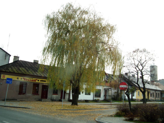 To jedno z najpiękniejszych miast w łódzkim. Kiedyś leżało w województwie mazowieckim