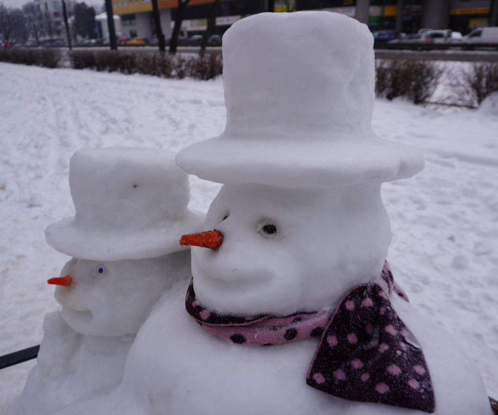 Wyjątkowe śniegowe rzeźby pojawiły się w Warszawie. Wśród nich Roszpunka
