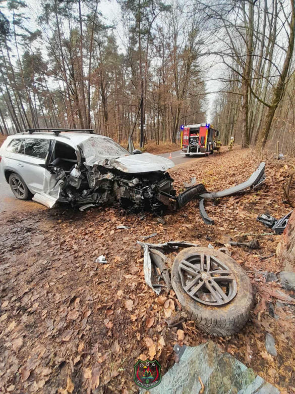Skoda z dwiema osobami w środku uderzyła w drzewo. 4-letnie dziecko trafiło do szpitala
