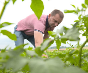 Rolnicy apelują: nie hejtujcie Podkarpacia [ZDJĘCIA]