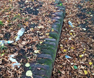 Wzgórze Napoleona w Szczecinie