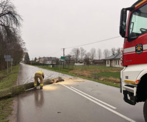 Powiat siedlecki: liczne interwencje strażaków w związku z wichurą