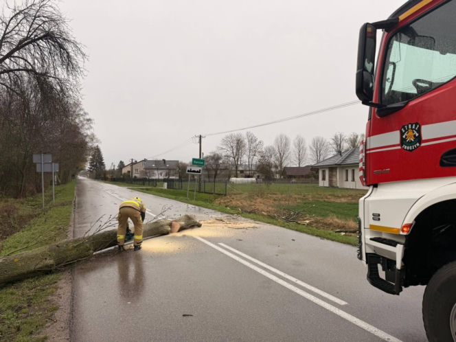 Powiat siedlecki: liczne interwencje strażaków w związku z wichurą