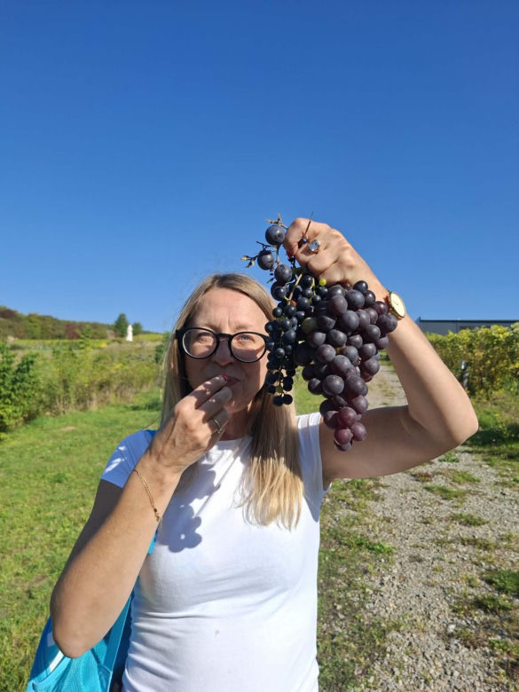 Winnica TERRA