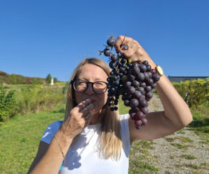 Winnica TERRA