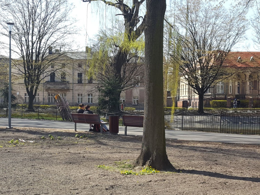 Kończy się czwarty etap rewitalizacji parku na Pl. Kościuszki w Lesznie