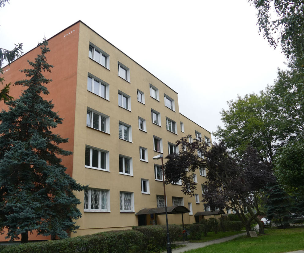 Przeżyła, bo udawała martwą