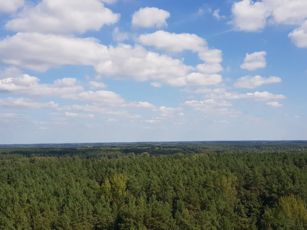 Wieża widokowa w Uhowie. To najwyższa wieża na Podlasiu [ZDJĘCIA]