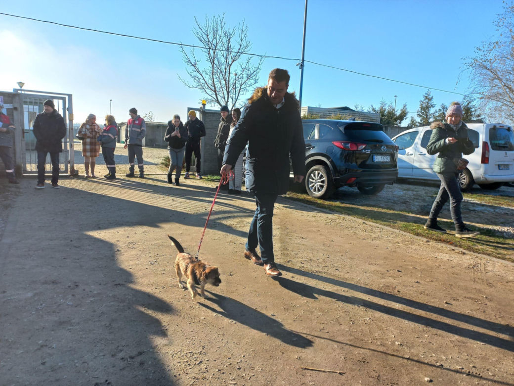 "Bieg + 4 Łapy" za nami. Wyjątkowy dzień w schronisku w Henrykowie koło Leszna
