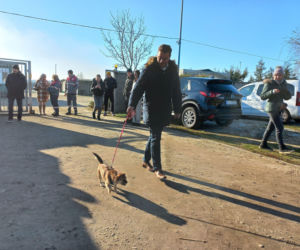 Bieg + 4 Łapy za nami. Wyjątkowy dzień w schronisku w Henrykowie koło Leszna