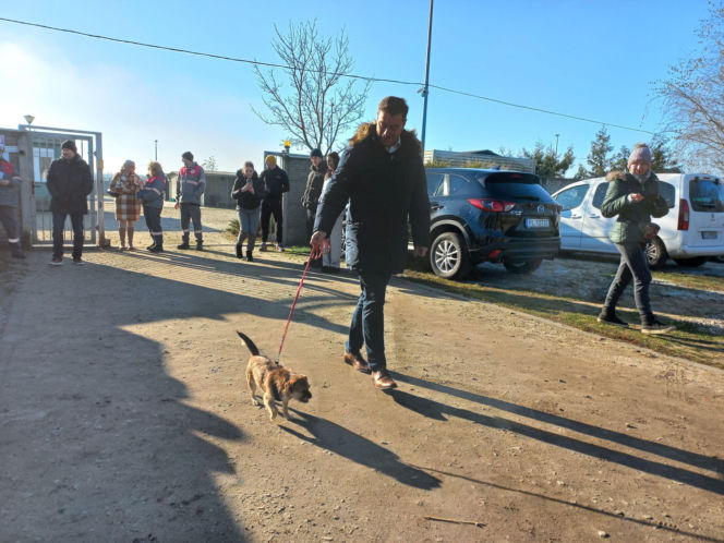 "Bieg + 4 Łapy" za nami. Wyjątkowy dzień w schronisku w Henrykowie koło Leszna