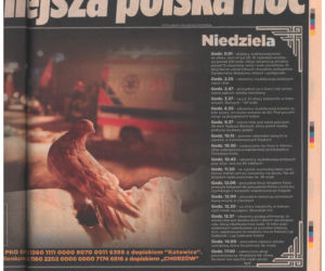 Katastrofa hali MTK w Katowicach. Materiały archiwalne