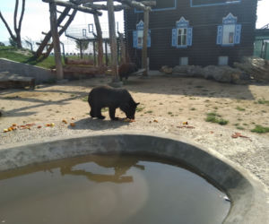 Zoo w miejscowości Chleby