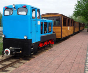 Kolejką wąskotorową przez Puszczę Białowieską