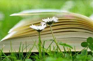 Kolejne miejsca do bookcrossingu w Gdańsku! Gdzie będzie można wymienić się książkami?