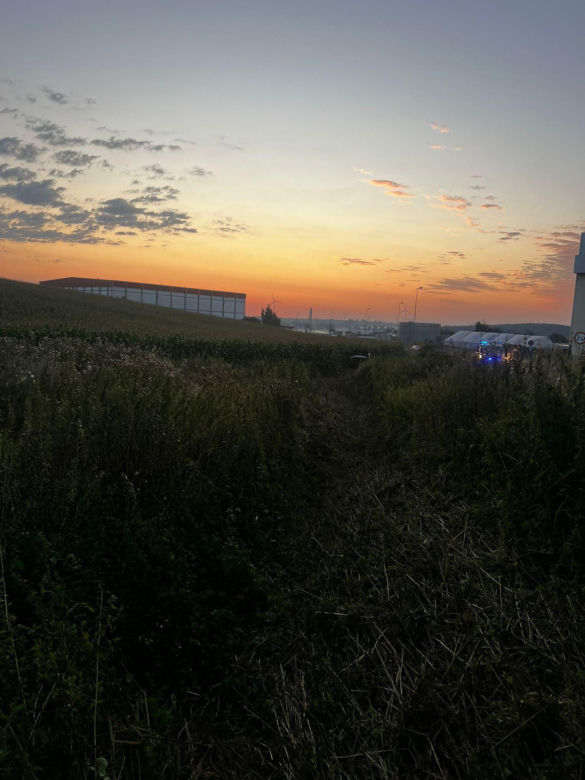 ​Zakończył jazdę... w polu kukurydzy. Policjanci ustalili, że to 21-latek z Gostynia