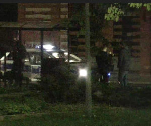 Niepoprawny romantyk zrywał tulipany w centrum Bydgoszczy. Szybko tego pożałował [ZDJĘCIA]