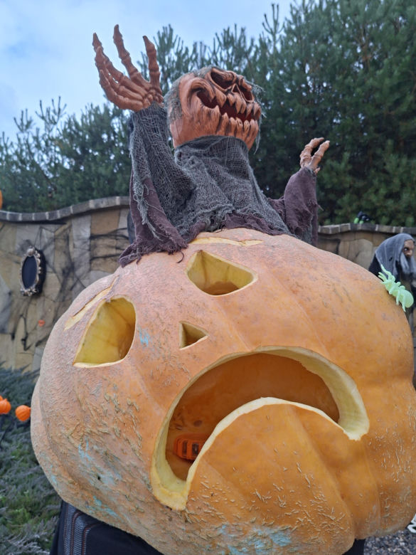Oto najbardziej halloweenowy dom w Świętokrzyskiem!