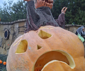 Oto najbardziej halloweenowy dom w Świętokrzyskiem!