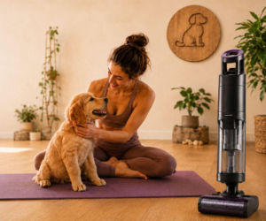 AliExpress i ILIFE odpowiadają na trend pet lifestyle’u nową aktywacją w Warszawie 