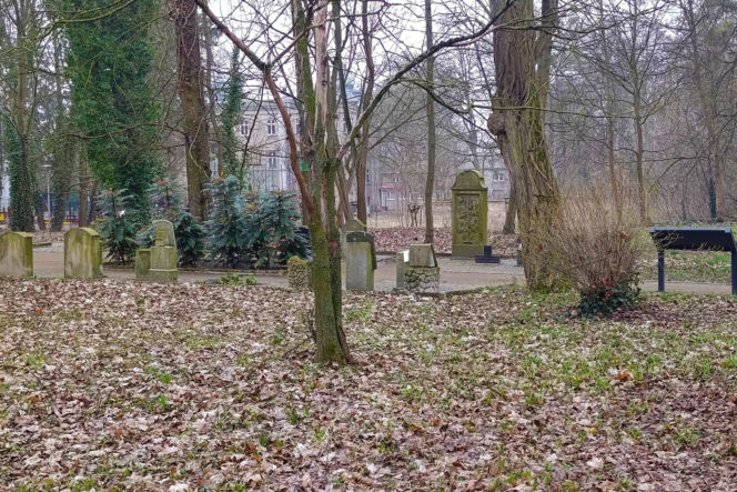 Wandalizm w lapidarium