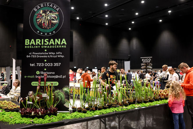 Targi egzotyki w Katowicach