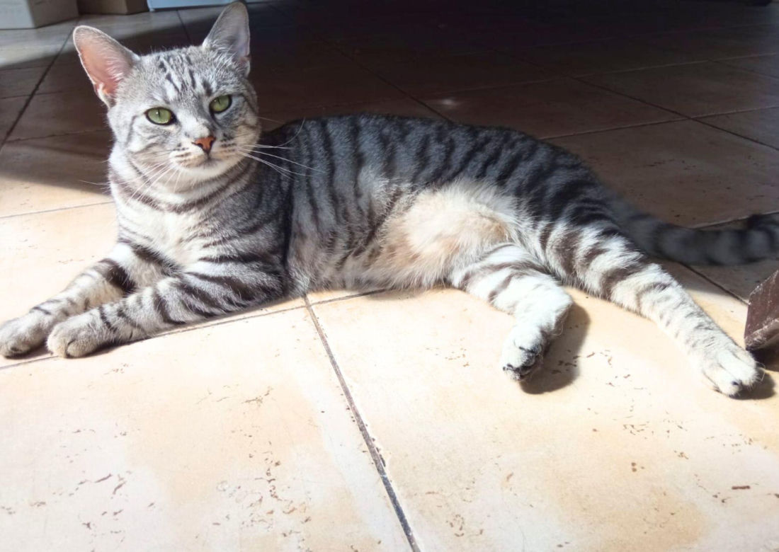 Coco