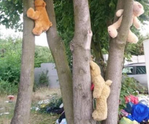 Poznań: Na drzewie wyrosły... misie! Interweniowali strażnicy 