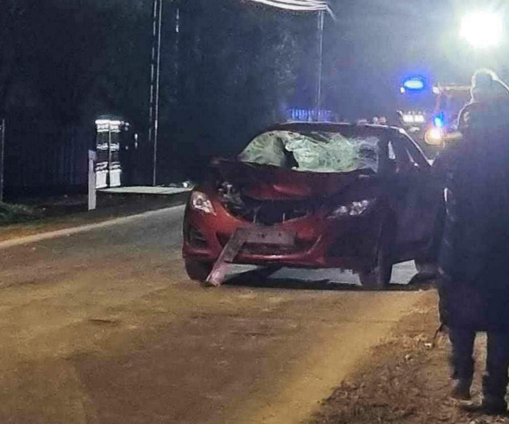 Zabił ojca i 15-letnią córkę. Matka ledwo przeżyła. Sąd wydał wyrok