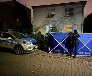 Przerażające odkrycie zelektryzowało mieszkańców Poznania