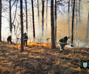 Gigantyczny pożar lasu pod Wołominem