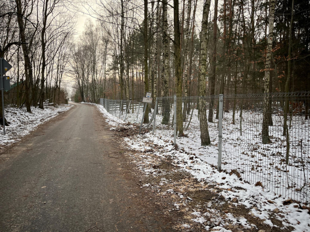 Kacper po wszystkim uciekł do lasu. "Udawał, że robi pompki"