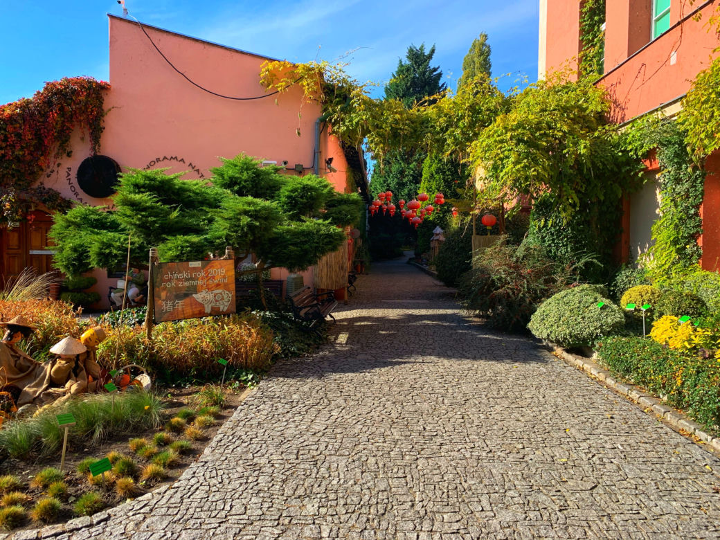Jesień w ogrodzie botanicznym we Wrocławiu
