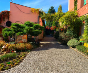 Jesień w ogrodzie botanicznym we Wrocławiu