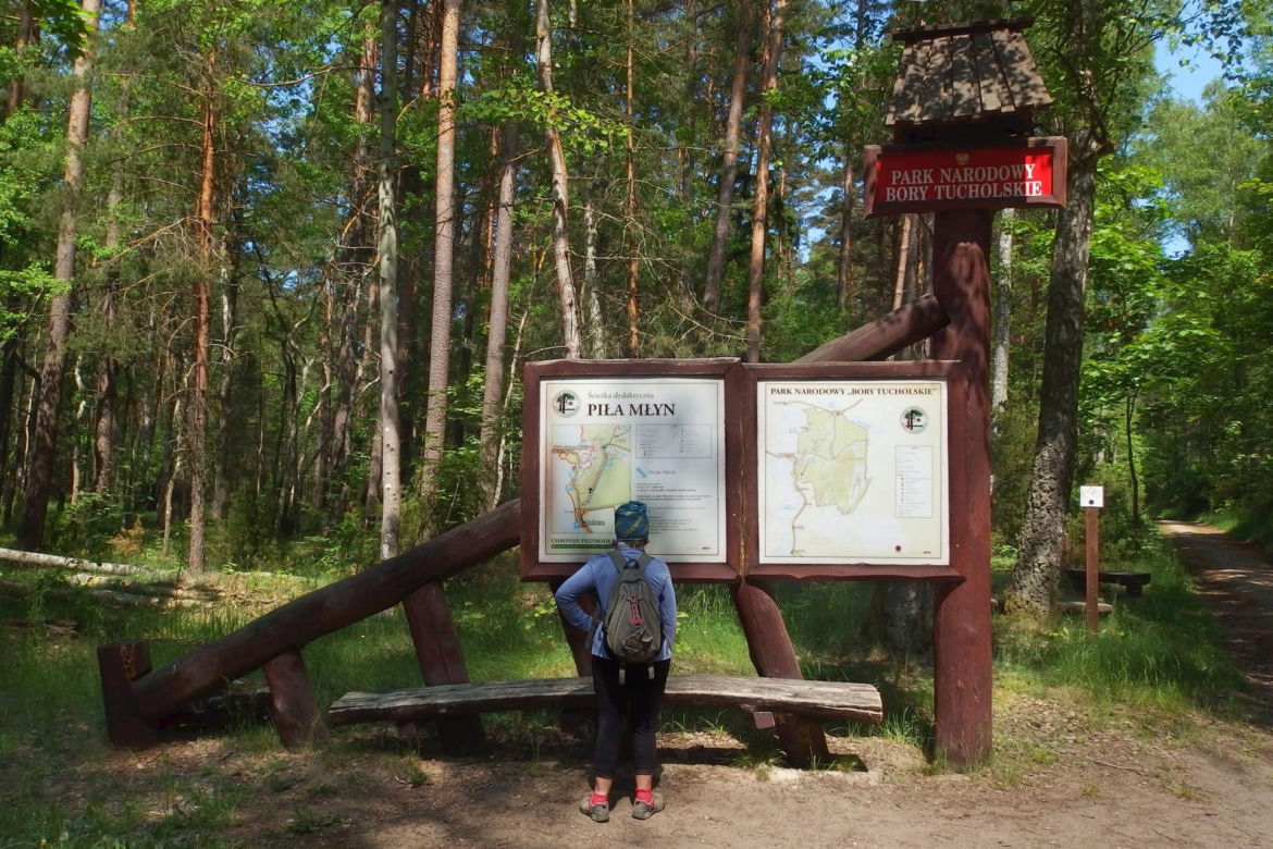2. Bory Tucholskie – cisza, spokój i tysiące jezior
