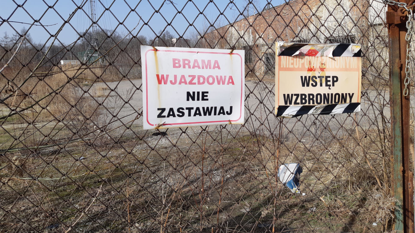 Koziołek już na wolności!