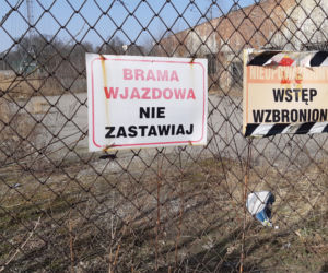 Koziołek już na wolności!