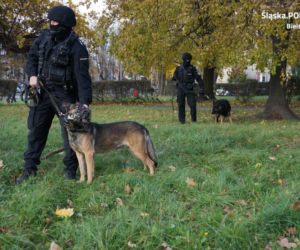Mecz podwyższonego ryzyka w Bielsku-Białej