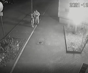 Palma przy siedzibie strostwa została zniszczona