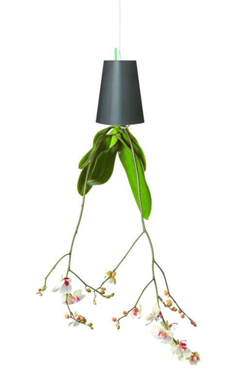 Doniczka Sky Planter WHITEHOUSE-DESIGN
