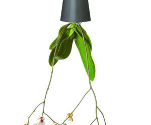 Doniczka Sky Planter WHITEHOUSE-DESIGN