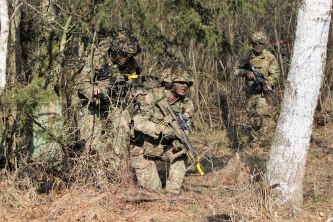 Brytyjscy żołnierze, ćwiczenia na poligonie