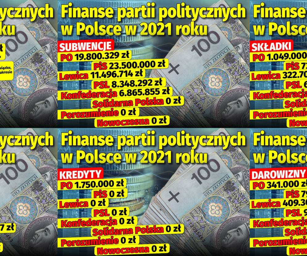 Finanse partii politycznych w Polsce w 2021 roku