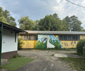 Domki nad Pilicą w Krzętowie