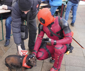 34. Finał WOŚP. Dziennikarze Radia ESKA rozgrzewają Tarnów pysznym żurkiem!