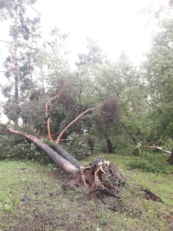 Rolnicy. Podlasie. Maciej z Kundzicz liczy straty. Wichura spustoszyła mu farmę