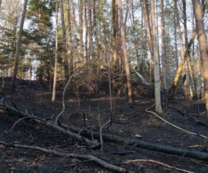 Dzień Ziemi 2020 pod znakiem pożarów lasów. W Bukowcu ktoś zaprószył ogień